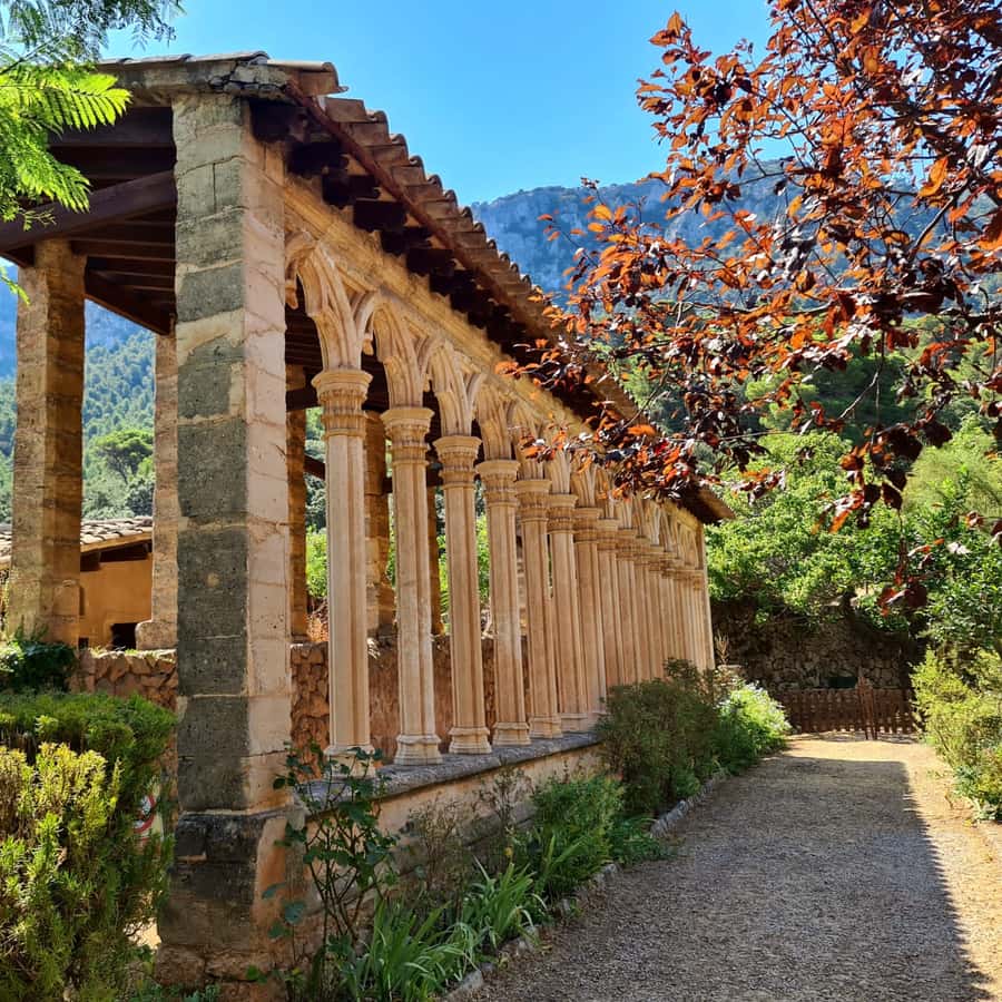 Galería de fotos para redes