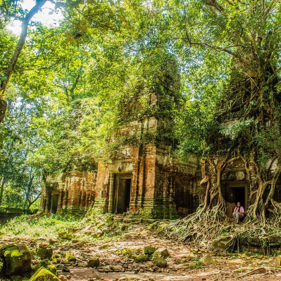 Colagem de mídia