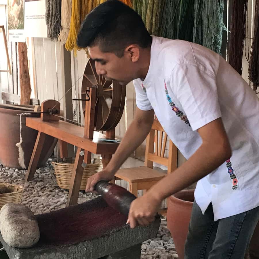 Galería de fotos para redes