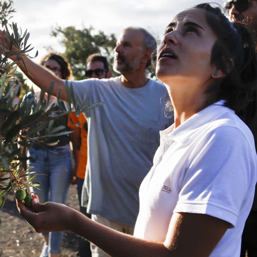Galería de fotos para redes