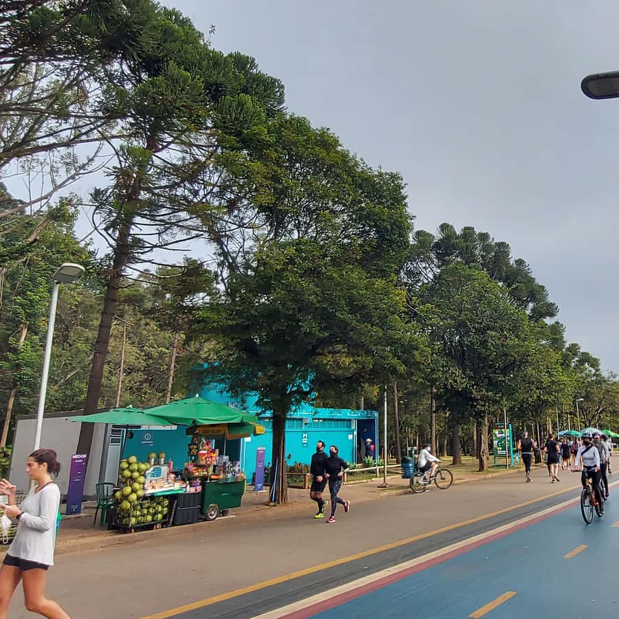 Colagem de mídia