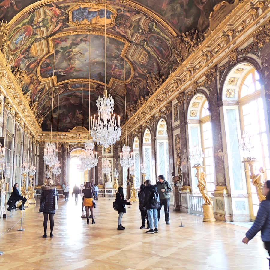 Galerie média