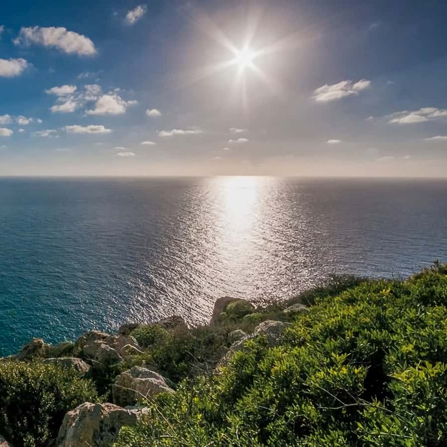 Galería de fotos para redes