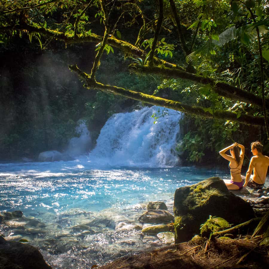 Sensor Creative Show Productions, image size:900x900