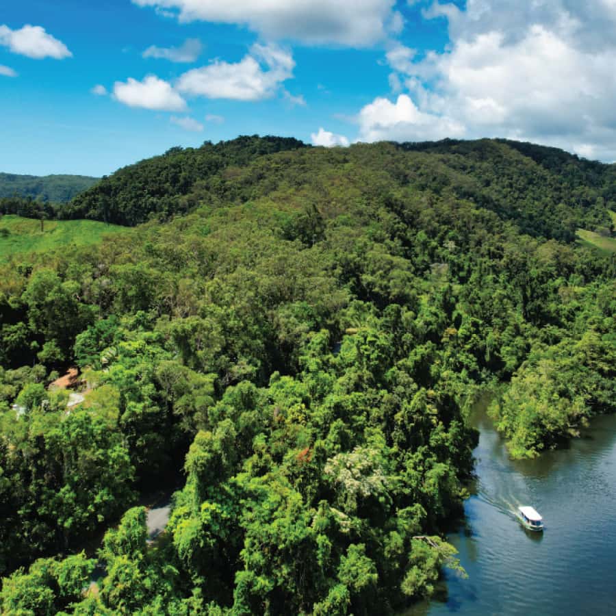 Daintree: River Rainforest Crocodile \u0026 Wildlife Cruise (DV) | GetYourGuide, image size:900x900