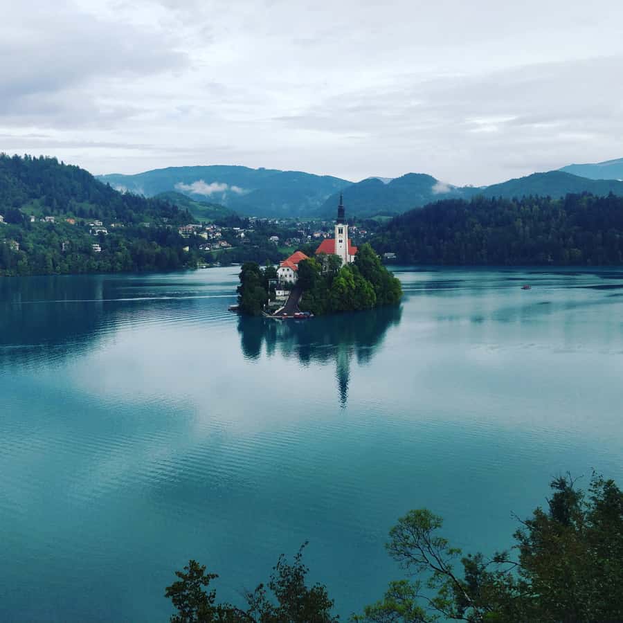 Galería de fotos para redes