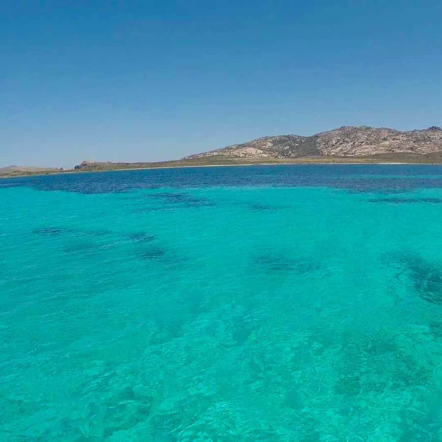 Galería de fotos para redes