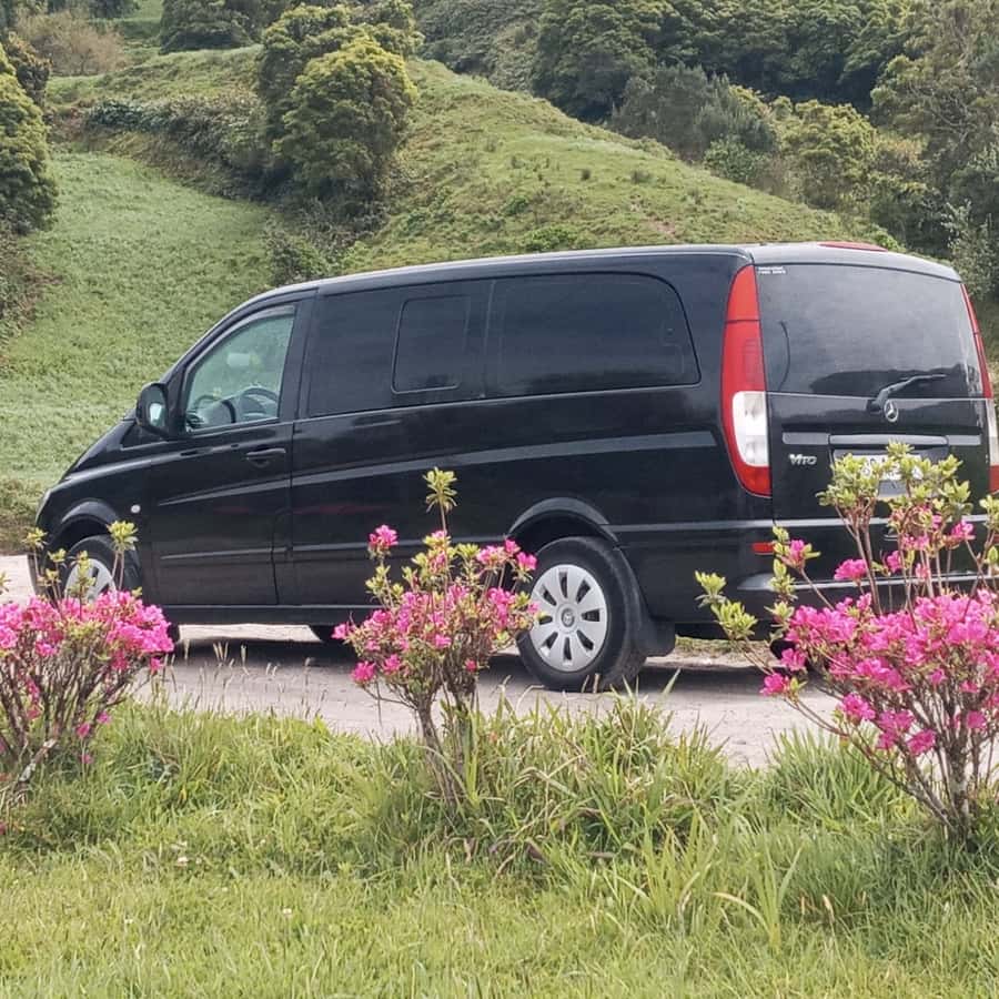 Colagem de mídia