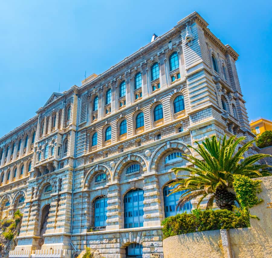 Galerie média