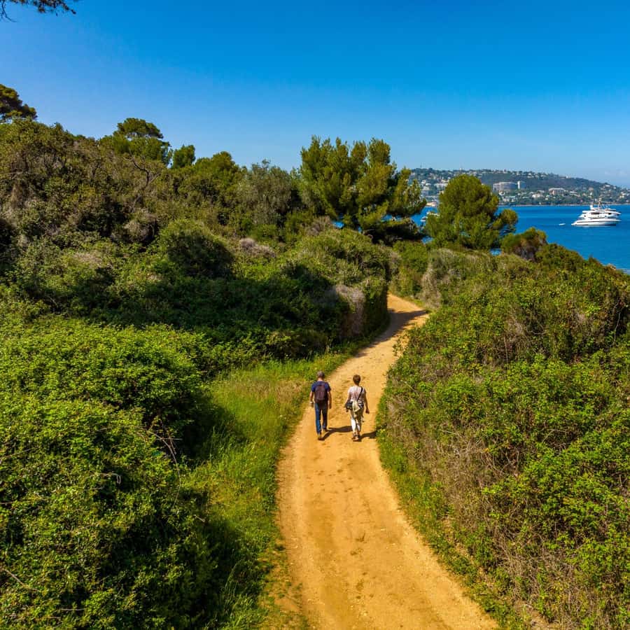 From Cannes: Round-Trip Ferry to Ste. Marguerite Island