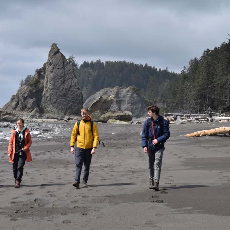 Olympic National Park: Hoh Rain Forest and Rialto Beach Tour