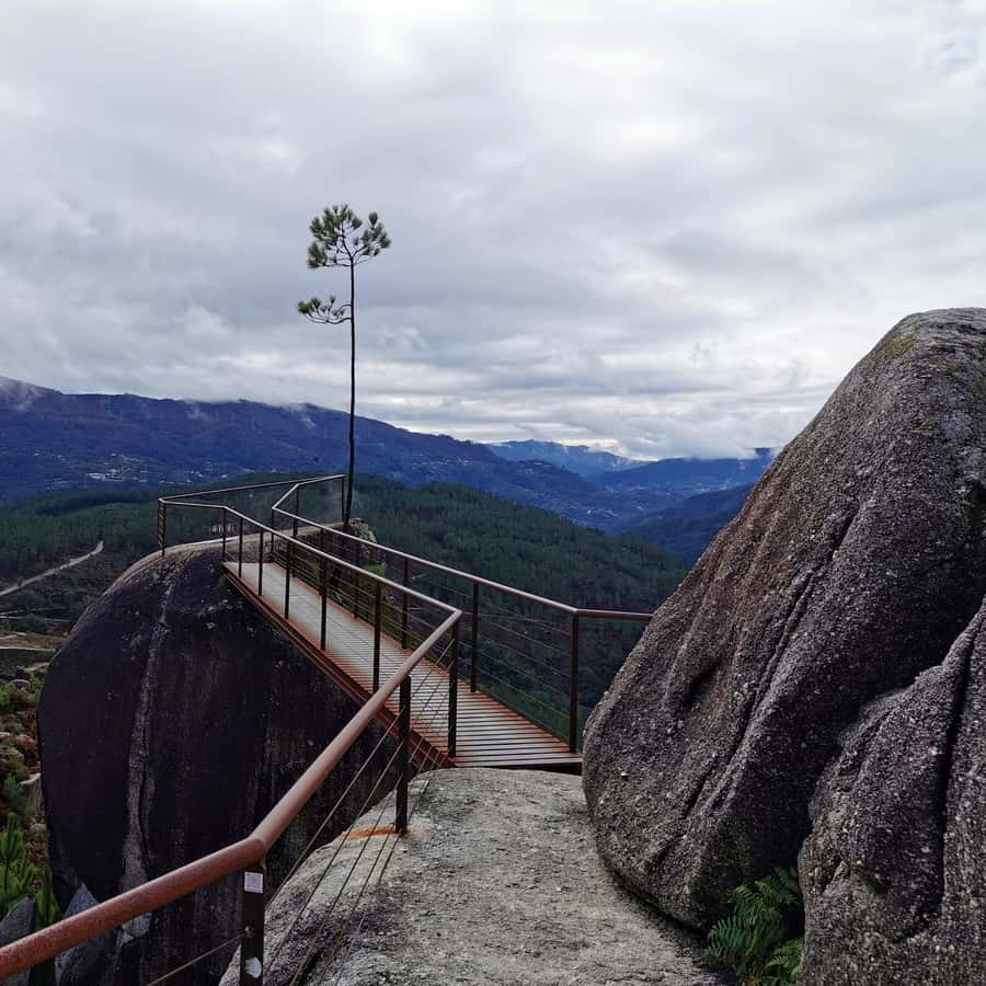 Colagem de mídia