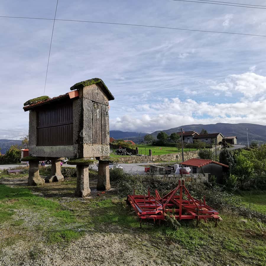 Colagem de mídia