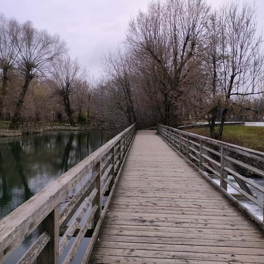 Galería de fotos para redes