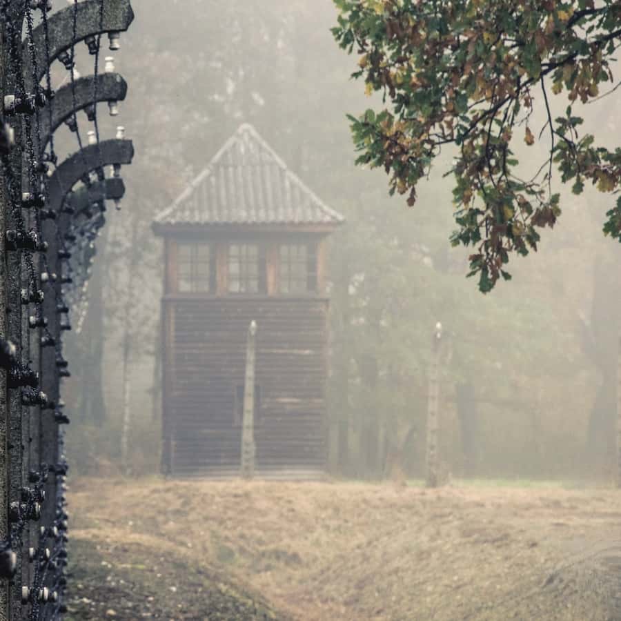 Медиаколлаж