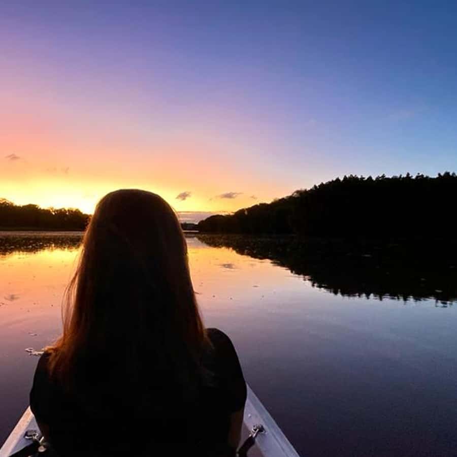 Galería de fotos para redes
