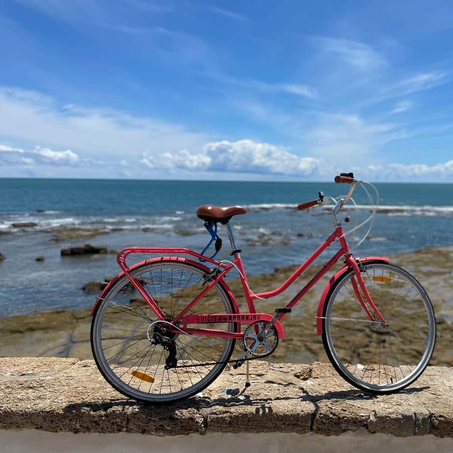 Galería de fotos para redes