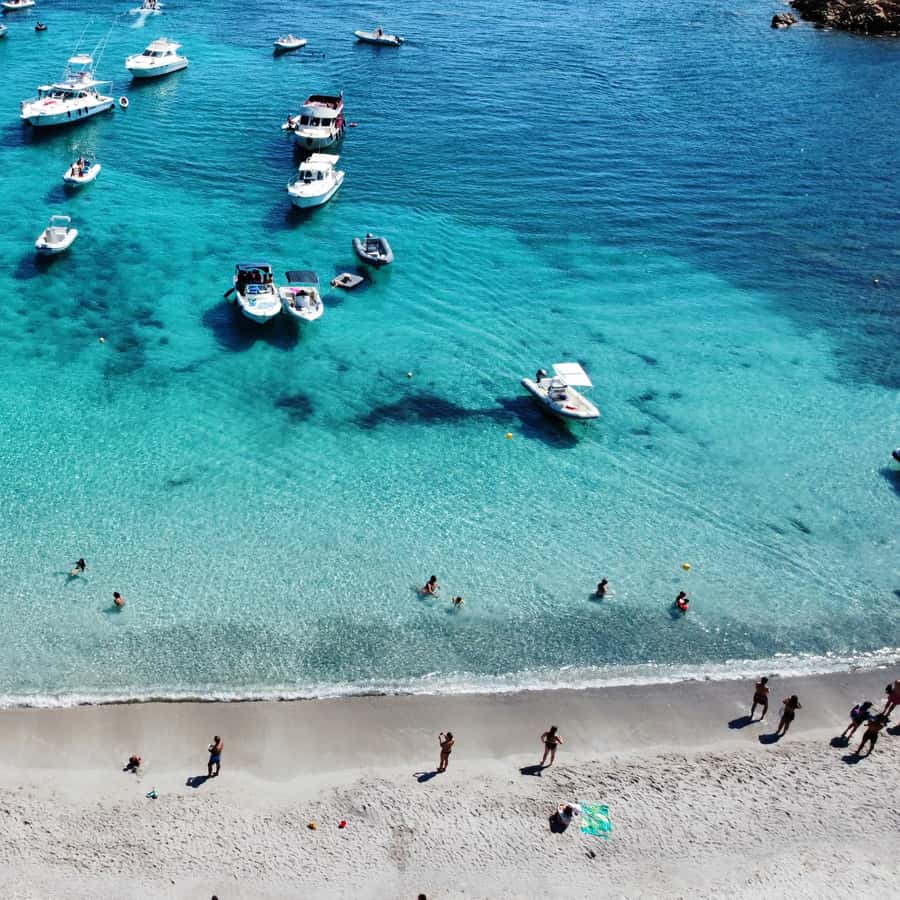 Palau: tour in barca comfort dell'arcipelago della Maddalena con