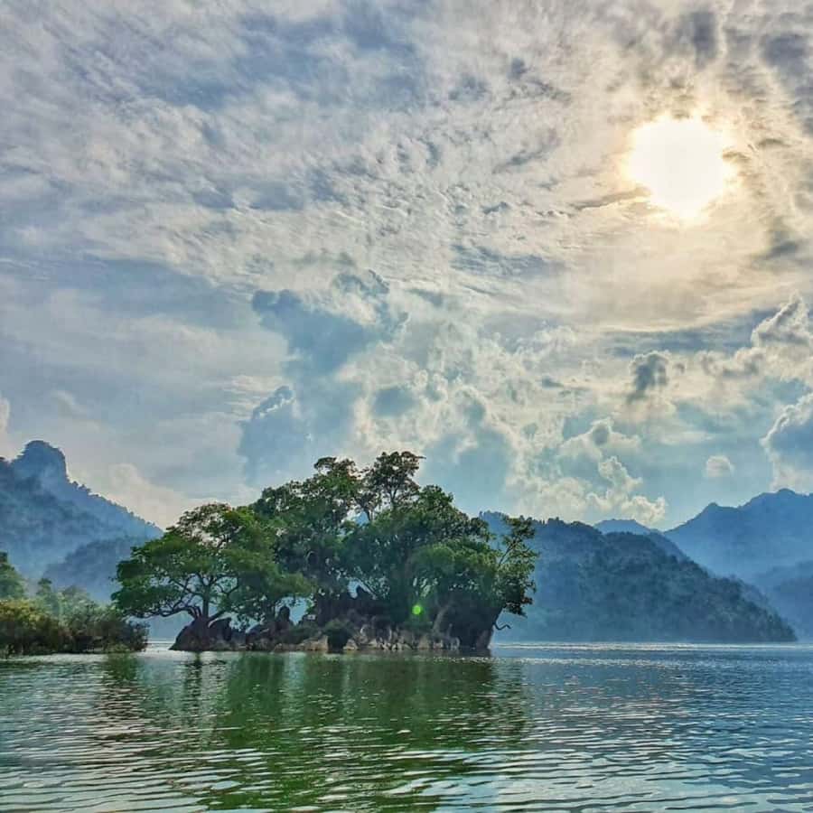 Galería de fotos para redes
