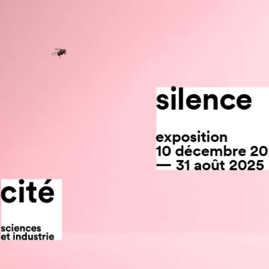 Galerie média
