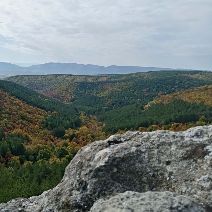 Kolaż medialny
