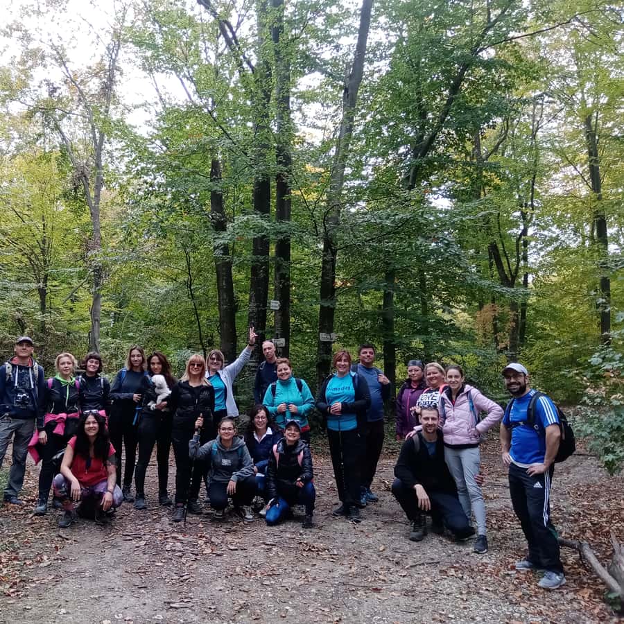 Kolaż medialny