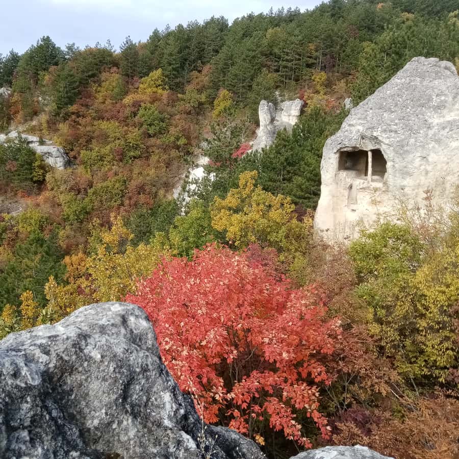 Kolaż medialny