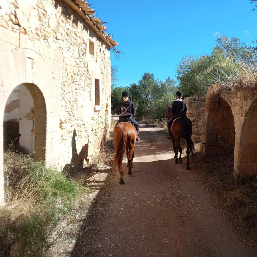 Mallorca: Atividade com cavalos, Antique Mallorca GetYourGuide