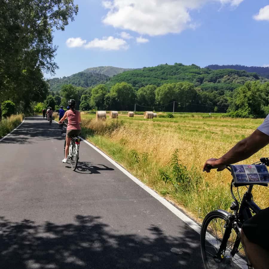 Lucca: Picnic Lunch at a Vineyard by Bike GetYourGuide