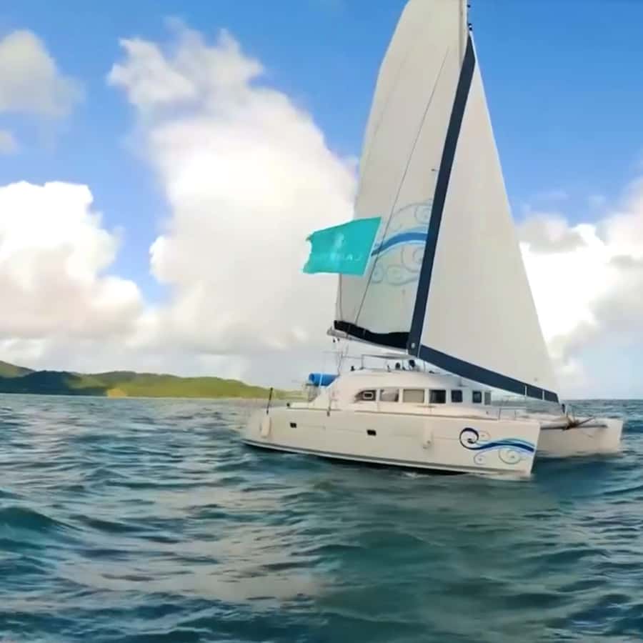 Fajardo: Catamaran Day Cruise to Palomino Island with Lunch