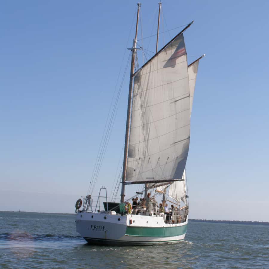 Charleston: Schooner Sailing Harbor Tour & Dolphin Watch