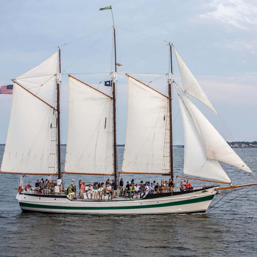 Charleston: Schooner Sailing Harbor Tour & Dolphin Watch