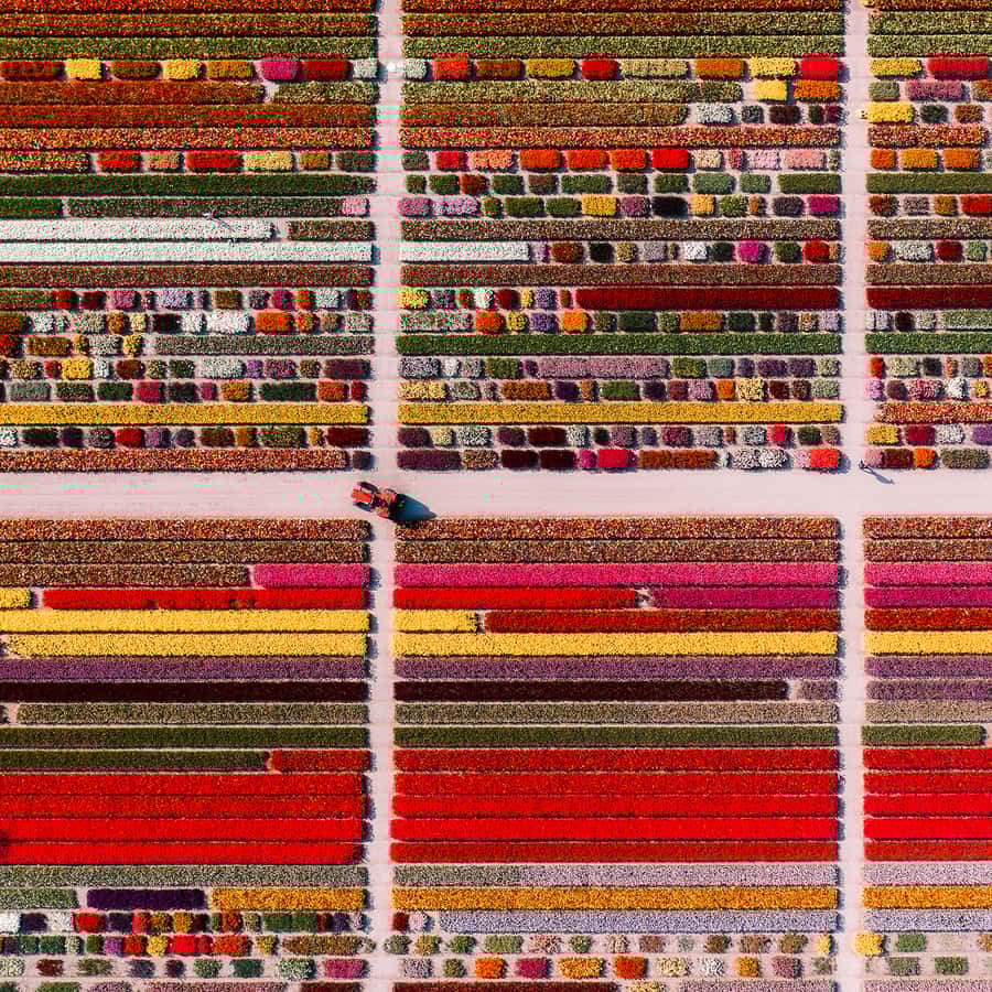 Medie-collage