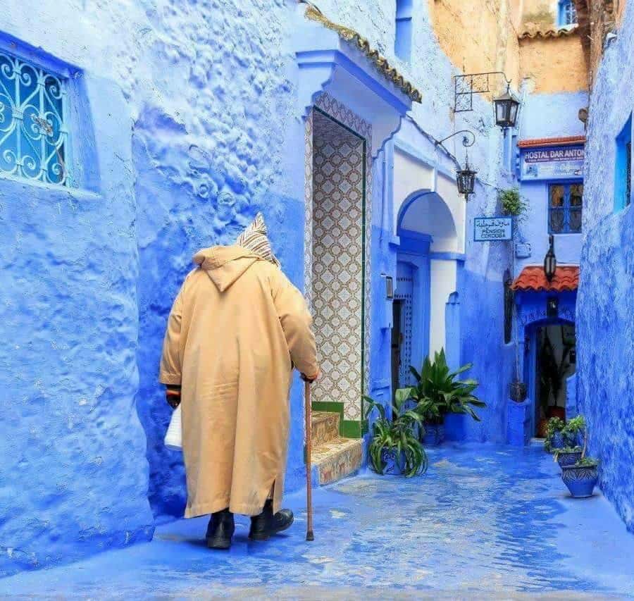 Galería de fotos para redes