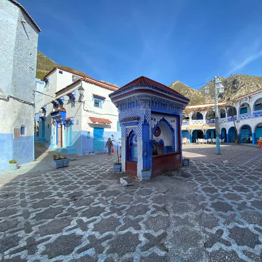 Galería de fotos para redes
