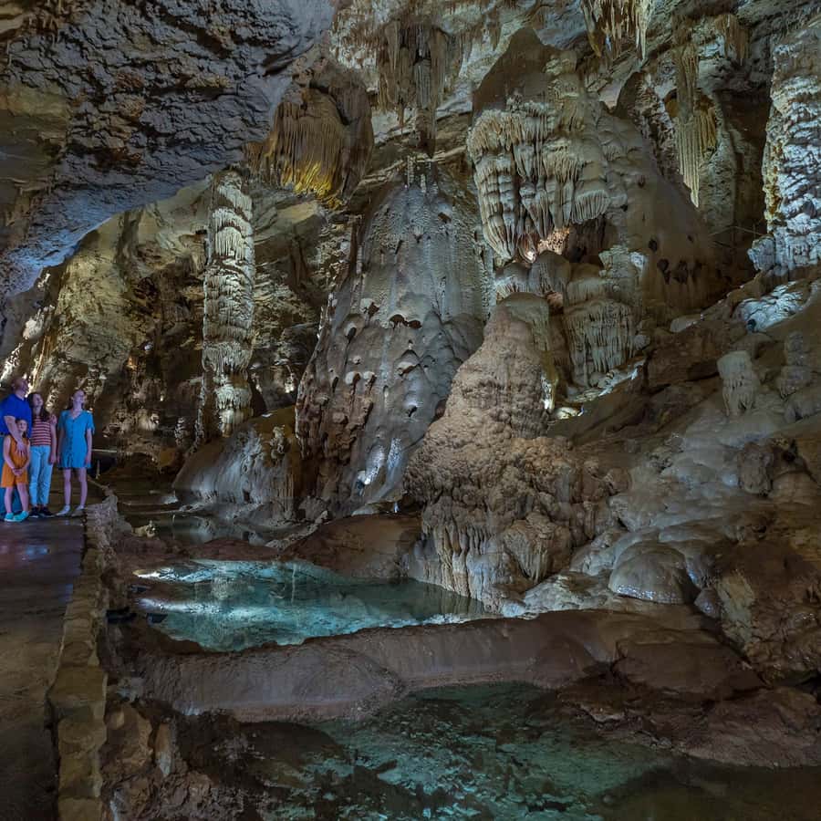 San Antonio: Discovery Tour at Natural Bridge Caverns