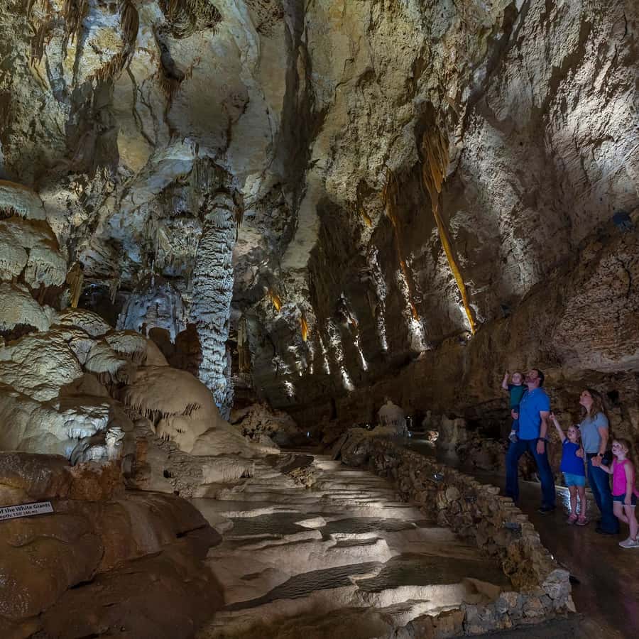 San Antonio: Discovery Tour at Natural Bridge Caverns