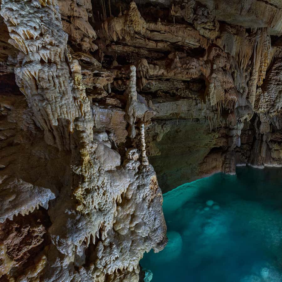 San Antonio: Discovery Tour at Natural Bridge Caverns