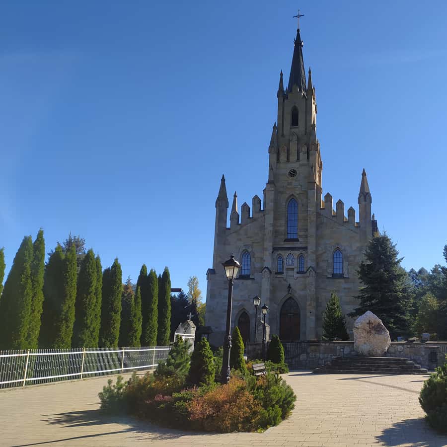 Galería de fotos para redes