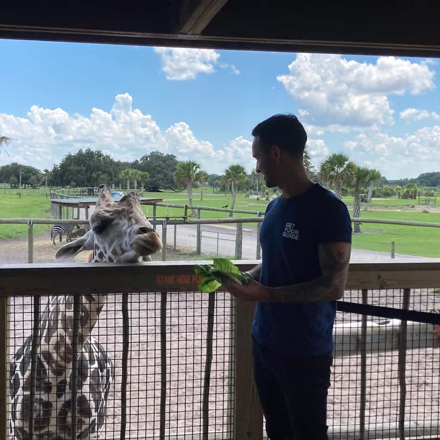 Orlando: Drive-Thru Safari Park at Wild Florida