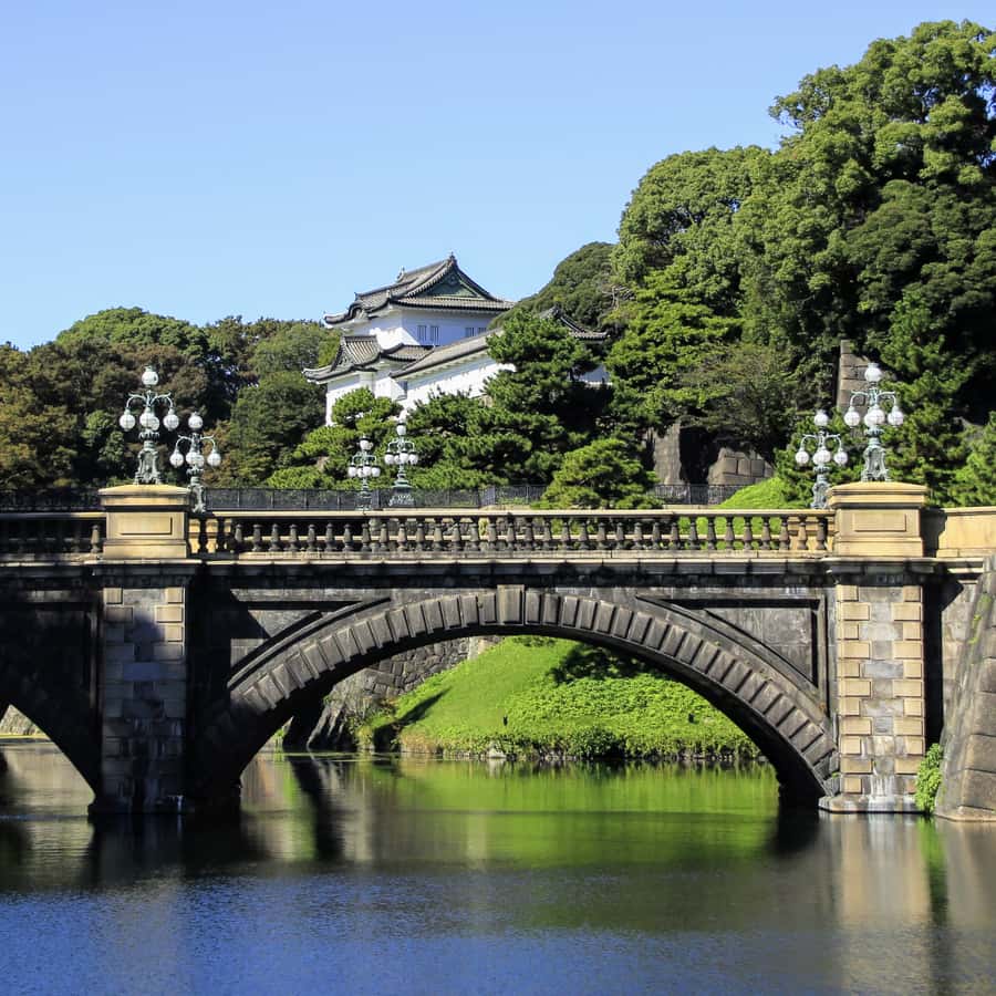 メディア コラージュ