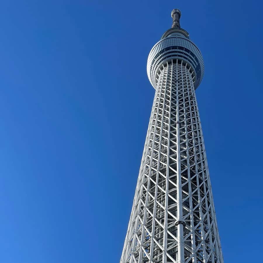 メディア コラージュ