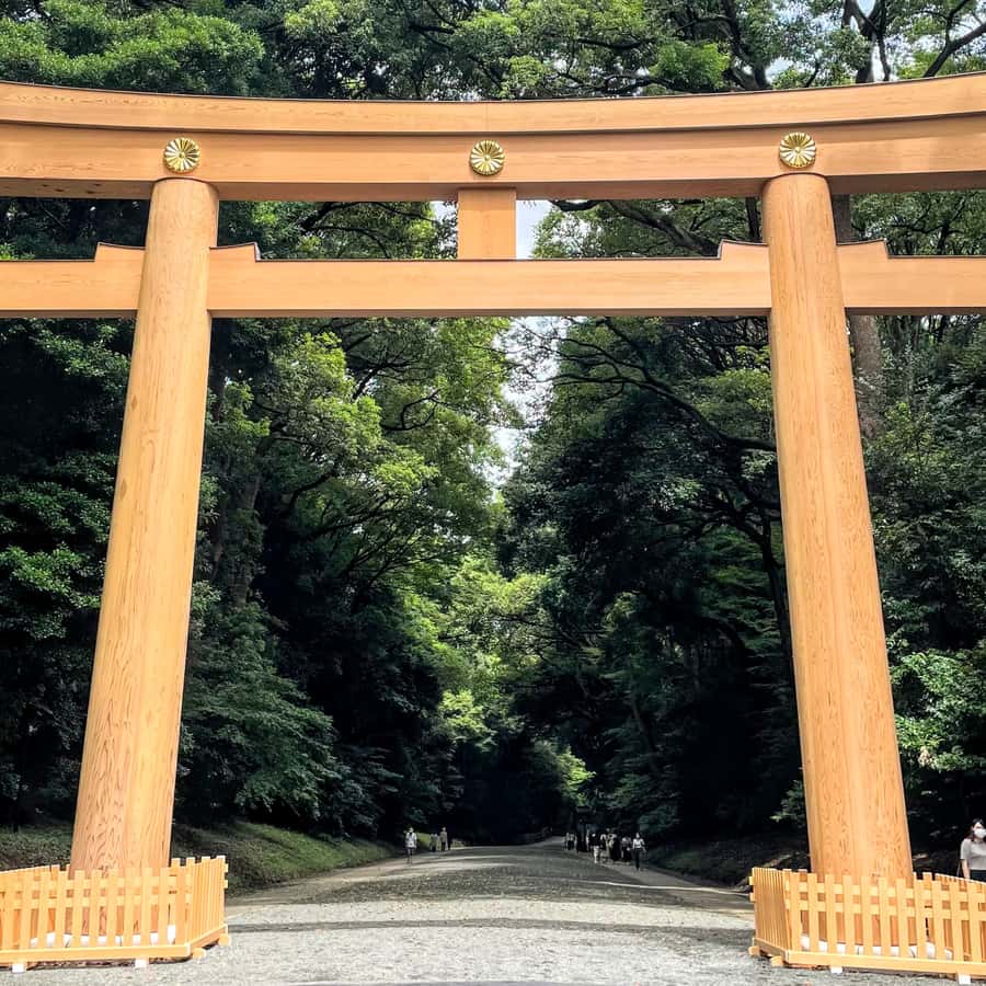 メディア コラージュ