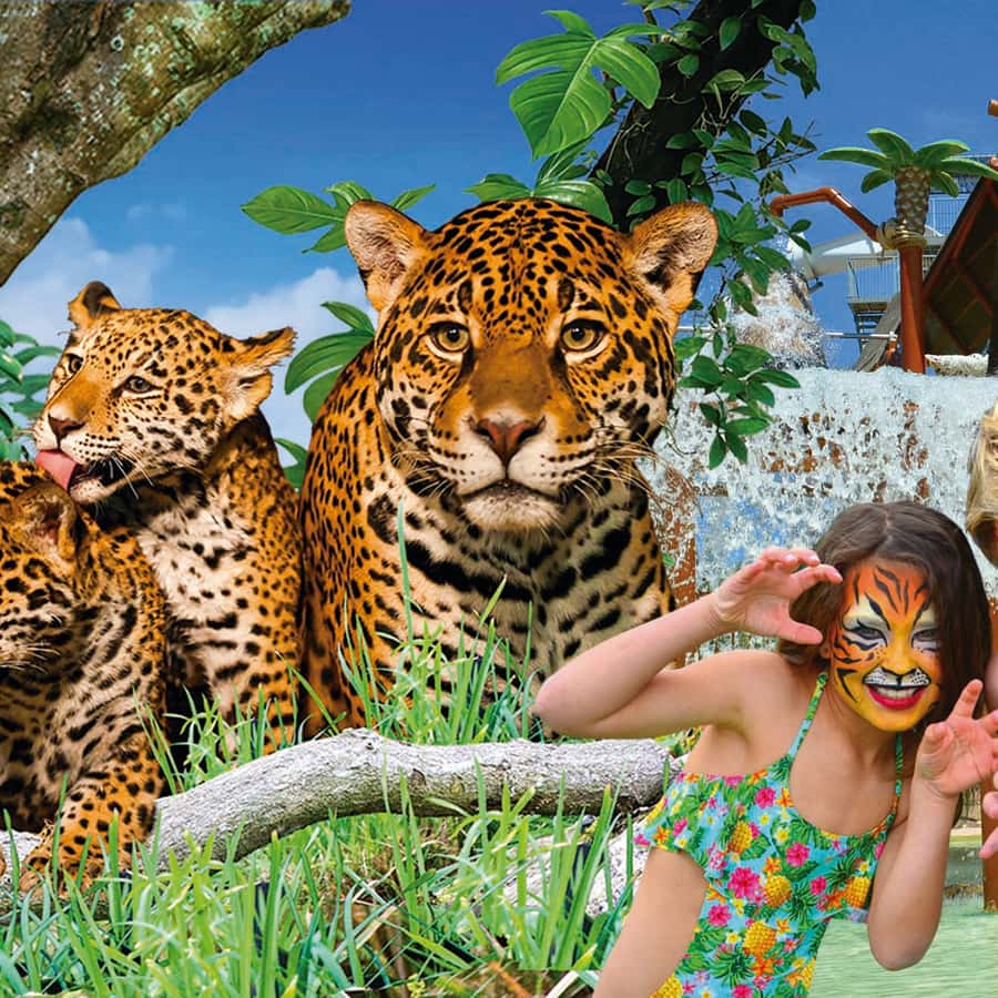 Colagem de mídia