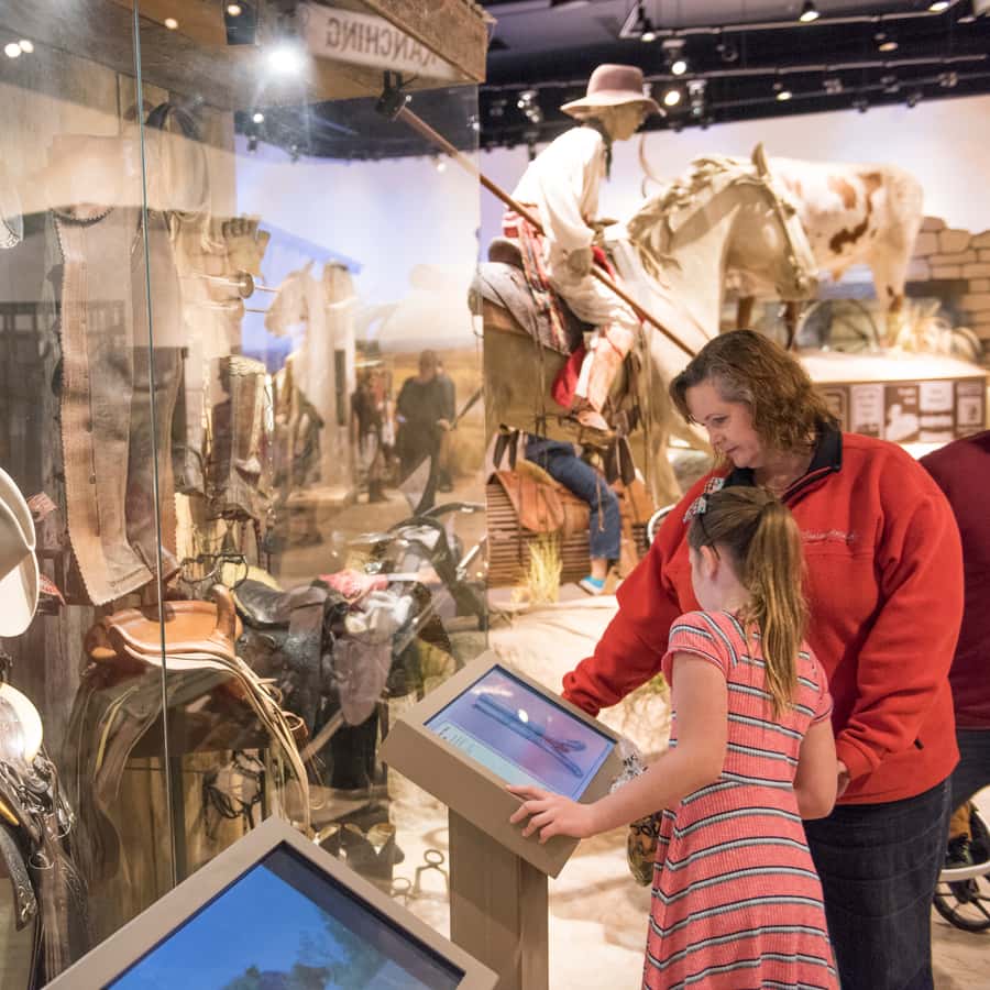San Antonio: Witte Museum Admission Ticket
