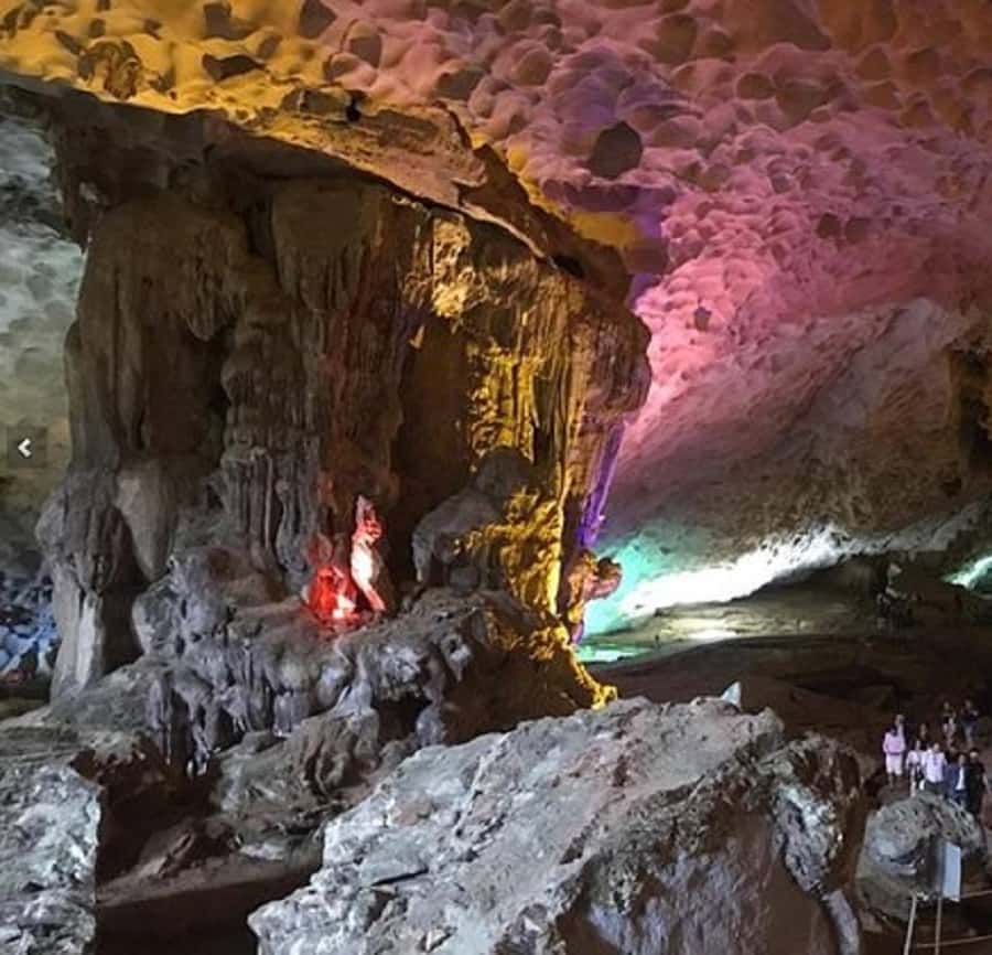 Galería de fotos para redes