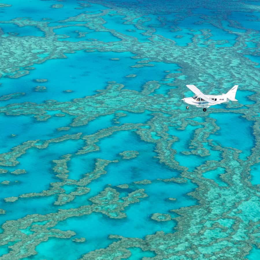 Airlie Beach: Fly Raft Package w Scenic Flight & Snorkeling