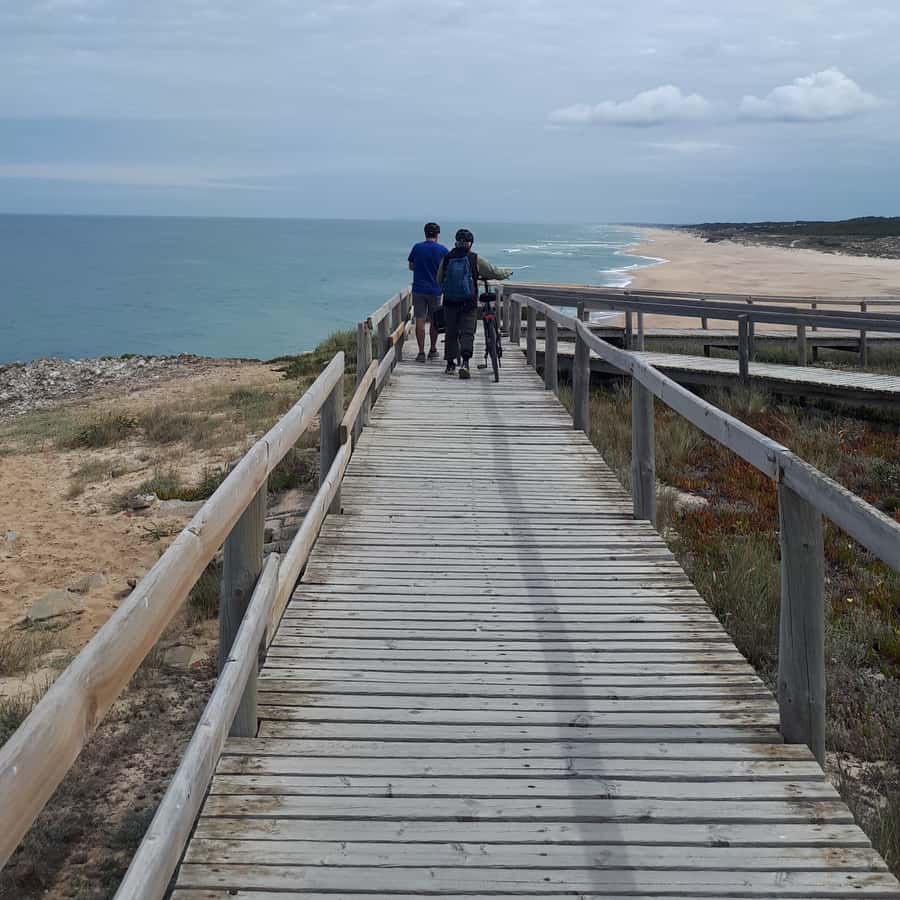 Colagem de mídia
