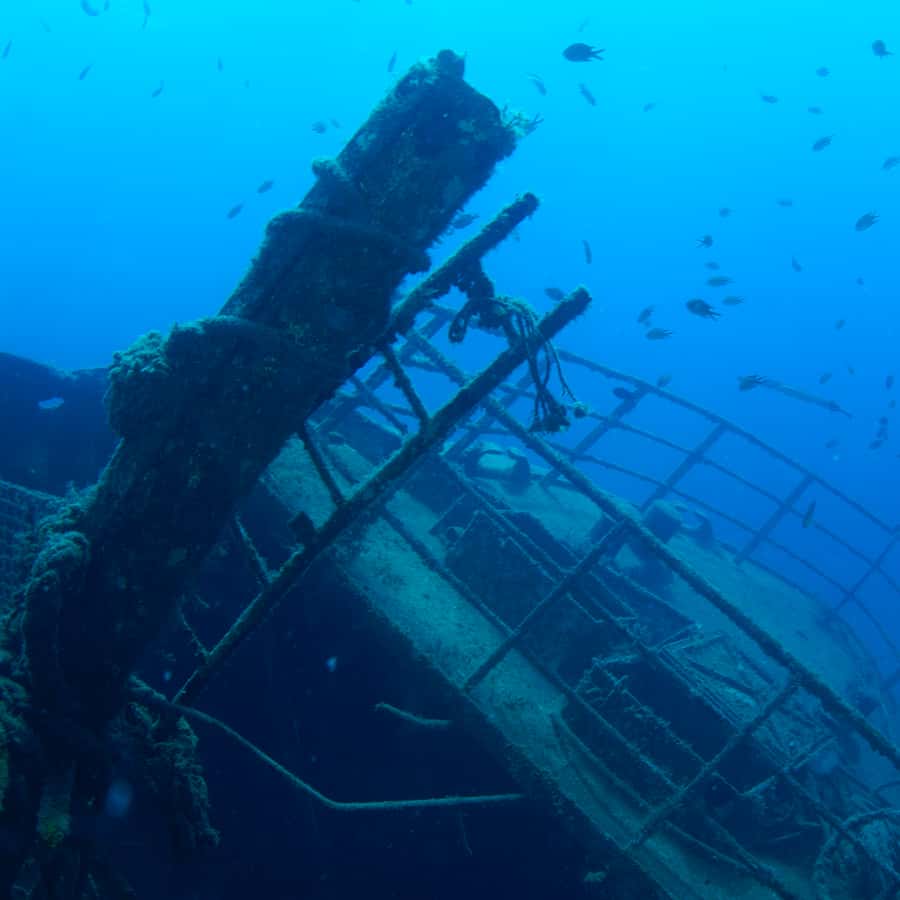 Puerto de Mogán: Submarine Tour