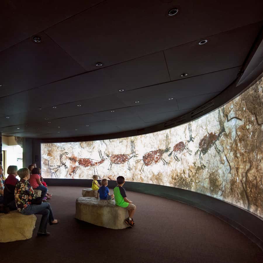 San Antonio: Witte Museum Admission Ticket